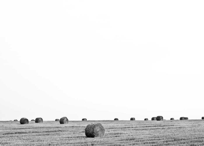 airdrop